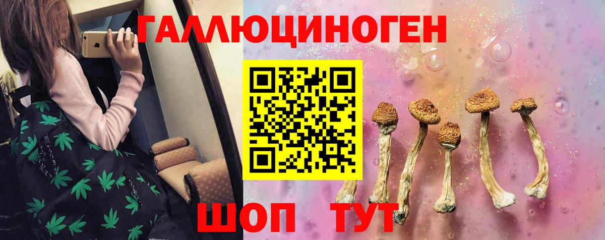 Псилоцибиновые грибы MAGIC MUSHROOMS Тында